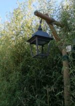 SOSPENSIONE IN ACCIAIO - immagine 2