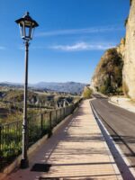 PALO ARTISTICO IN GHISA - immagine 3