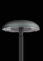 MUSHROOM - Image 2