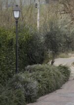 PALO ARTISTICO IN GHISA - immagine 5